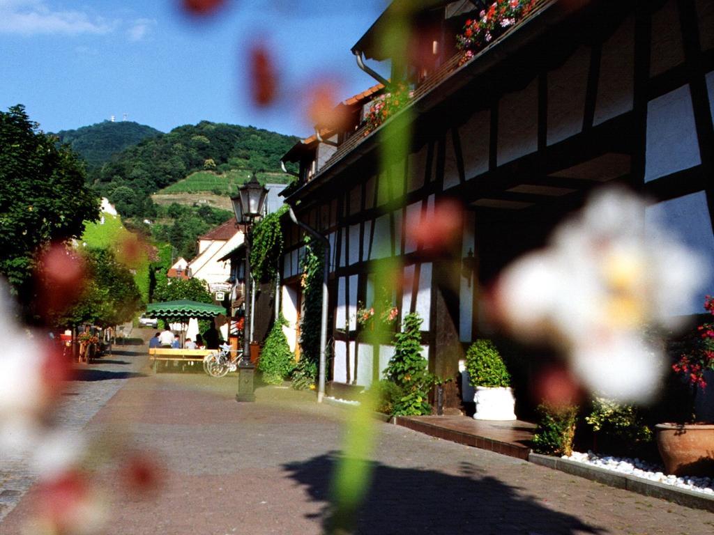 Hotel Garni Zur Bergstrasse Zwingenberg  Eksteriør bilde